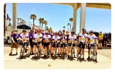 Team culture essential step on path to success