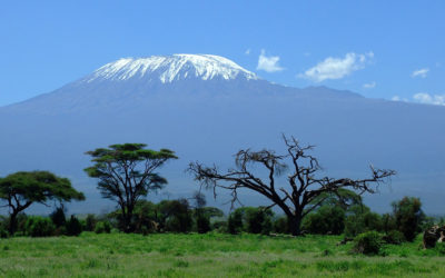 The next adventure: Kilimanjaro awaits