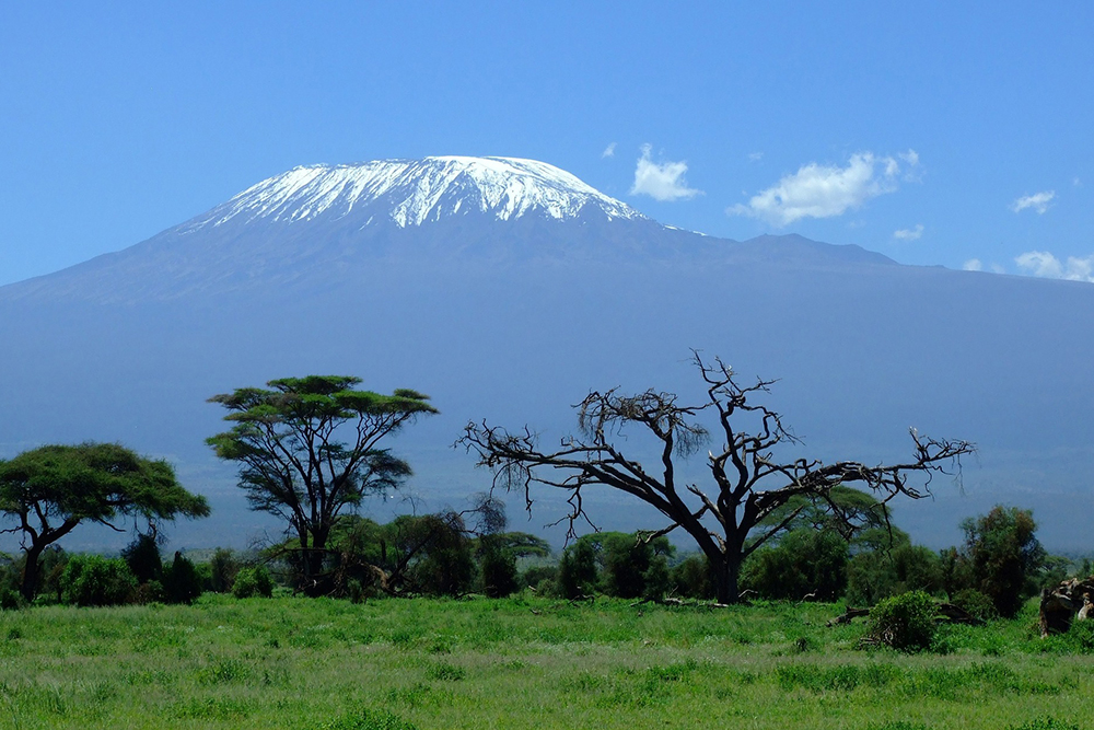 The next adventure: Kilimanjaro awaits