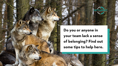 Do you or anyone in your team lack a sense of belonging? Check out these tips