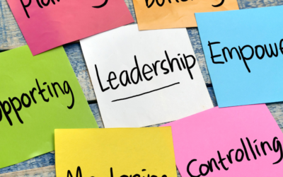 The Power of Delegation, Mindset and Positive Change – By Optimist Performance